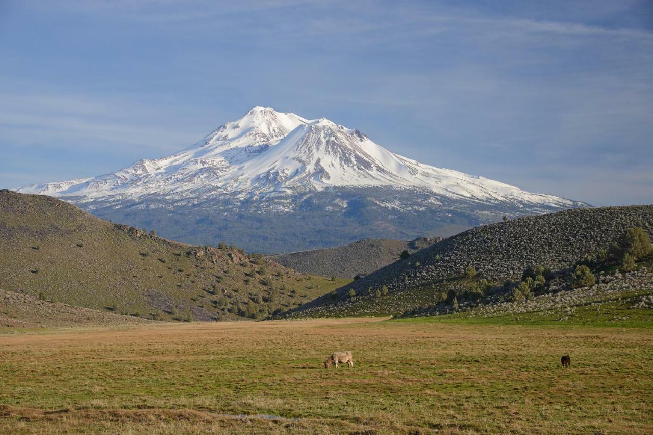 Inn At Mount Shasta Bagian luar foto
